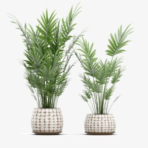 Strella Tree Set