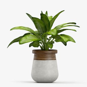 Tulip Ceramic Vase