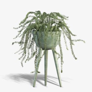 Tulip Stand Vase